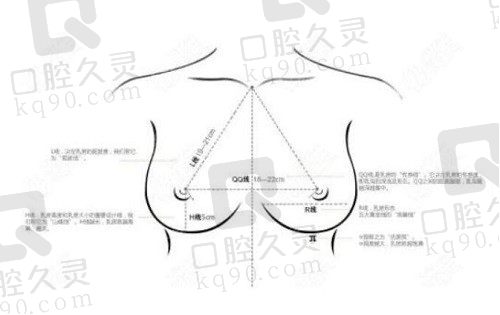 北京嘉禾脂肪丰胸首选赵希军，临床案例3万+,价格只要29800元起