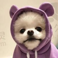 想去西藏看看