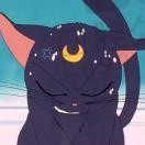 adfvsxfcv