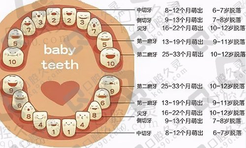 北京劲松口腔好还是拜博口腔医院好？种植牙价格为什么差别那么大？