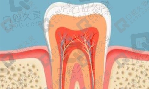 根管治疗要几次一共要多少钱？小诊所做根管治疗也太便宜了吧！