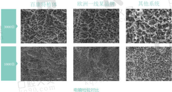 国产百康特种植体电镜检验对比