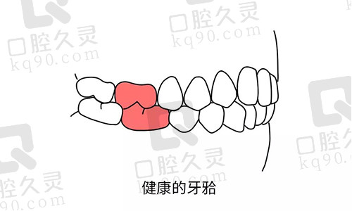 健康牙颌