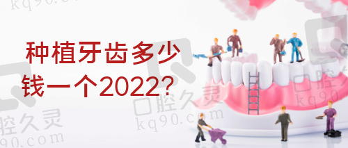 2022年种植牙齿多少钱一个