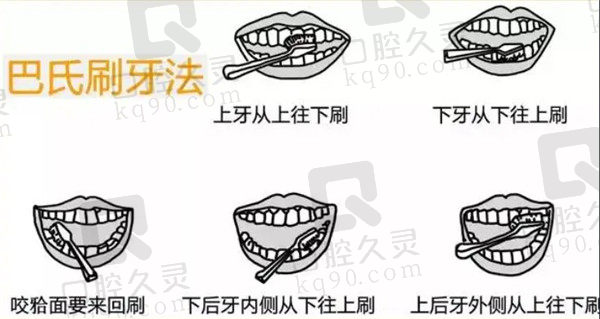 巴氏刷牙法