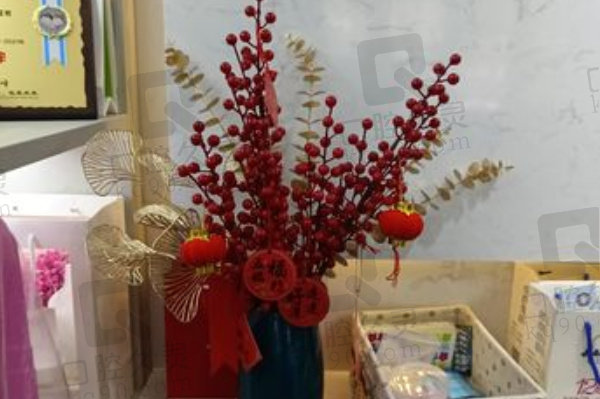 上海佳洁美口腔盆栽
