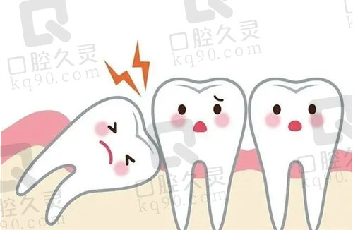 智齿示意图