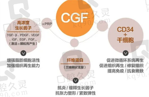 CGF是什么意思