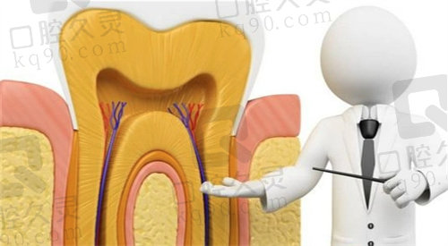 浙医二院口腔科根管治疗价格