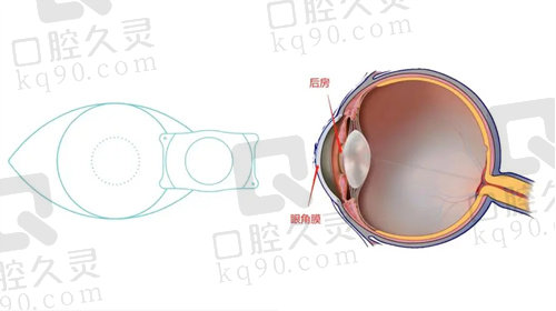 上海仁济医院眼科2024年价格表