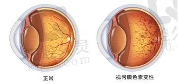 评价13.jpg