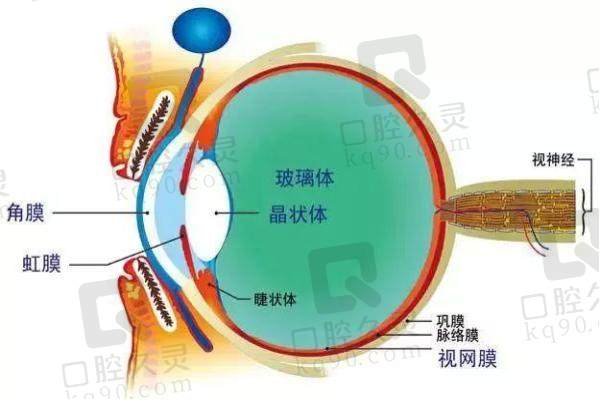 深圳眼科做近视手术医院图示