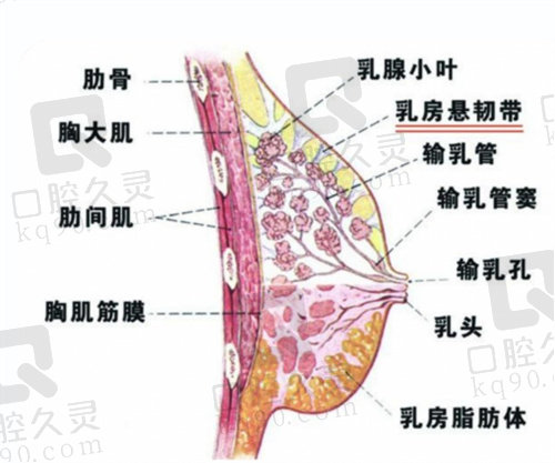 深圳八大处隆胸