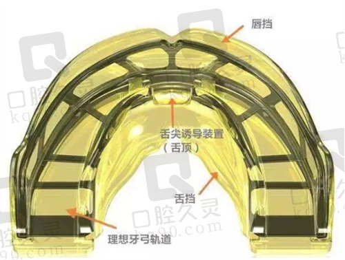 上海青苗儿童口腔医院