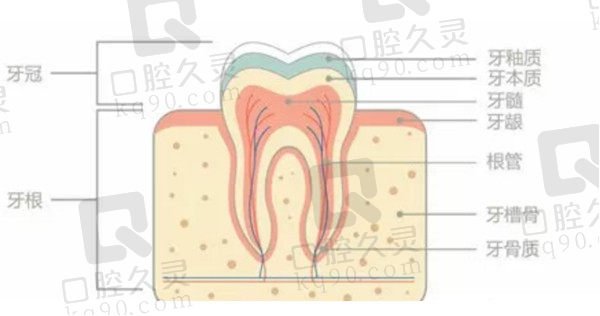 泉州美特尔口腔