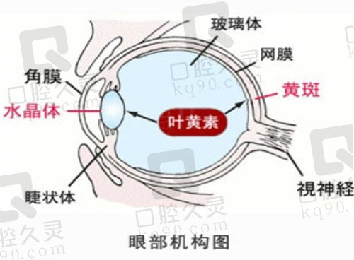 湖北襄阳艾格眼科医院杜正龙怎么样