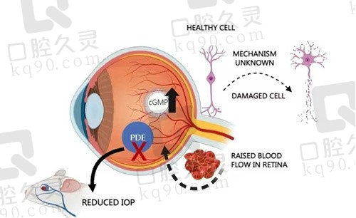 郑州眼科医院排名前十.jpg