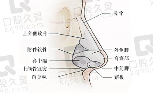 深圳宝丽李信锋做鼻子价格