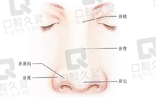 深圳宝丽李信锋做鼻子技术很高超