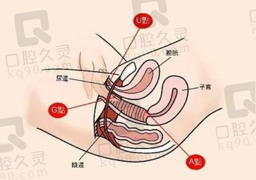 北京嘉禾医院私密整形手术