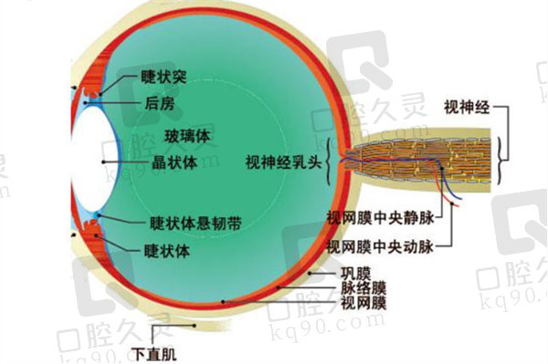 小儿视神经炎怎么治疗