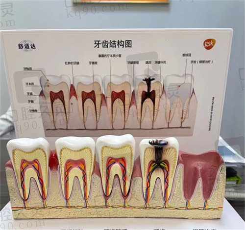 福建宁德博仕口腔医院怎么样