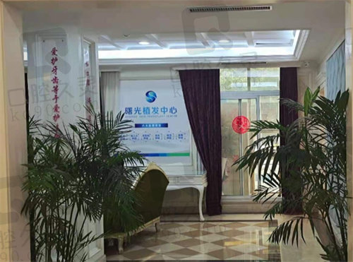 辽宁曙光拉皮多少钱？