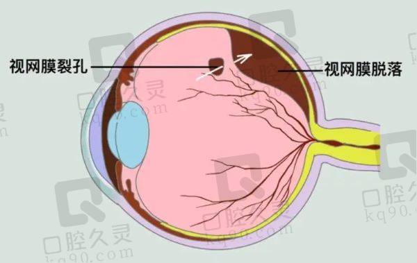 赵培泉和卢海两个大夫谁<span style=