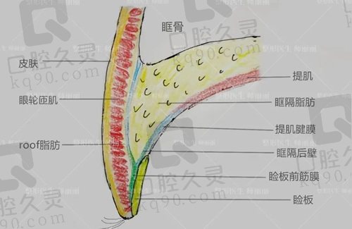 北京师丽丽双眼皮修复技术好吗