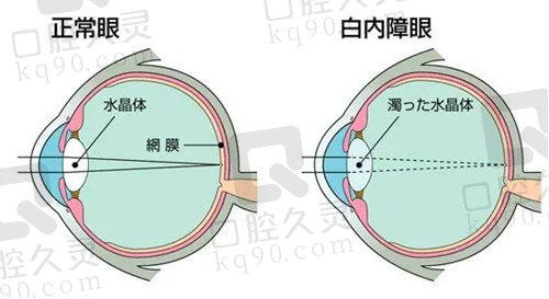   昆明康特森眼科医院环境