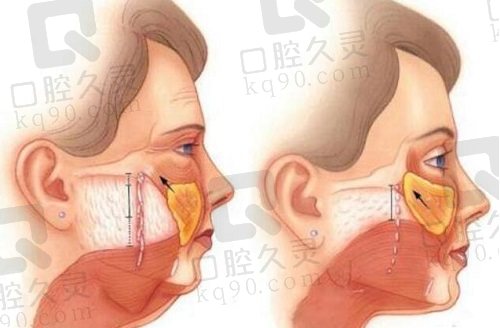 袁强博士个人简历资料