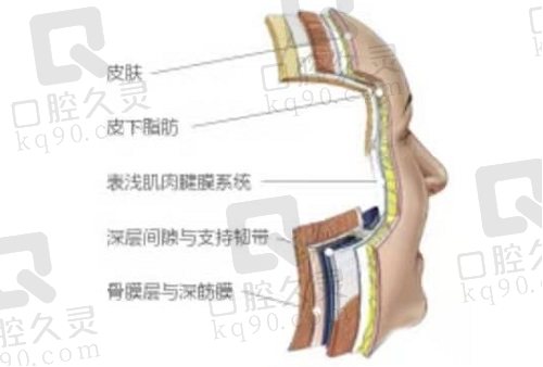 高亚东拉皮能维持几年？