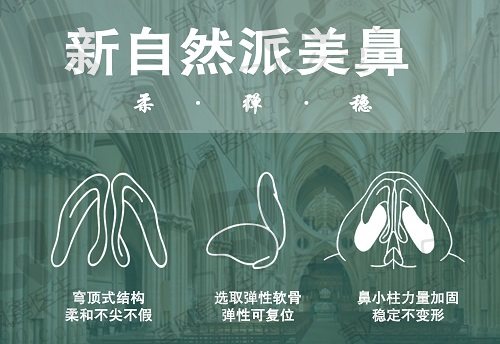 北京联合丽格宫风勇医生新自然派鼻整形