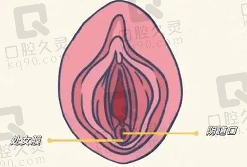 北京新星靓宋楠医生处女膜修复