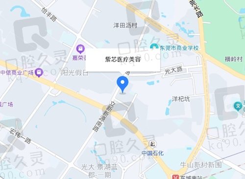 东莞紫芯医疗美容地址电话