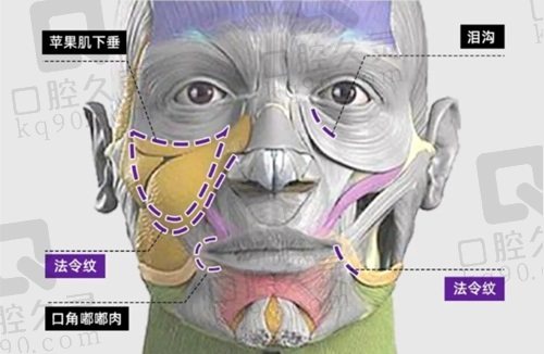 北京八大处谢洋春拉皮价格