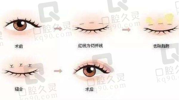 上海杜园园个人资料简介