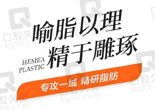 北京禾美嘉脂肪类项目价格详解