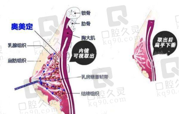 上海谢卫国简介
