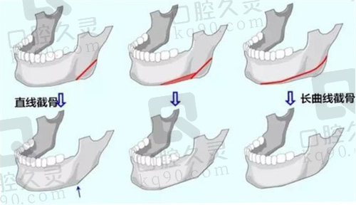 肖林医生联系方式