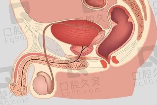 男科李世荣【 】的口碑和评价