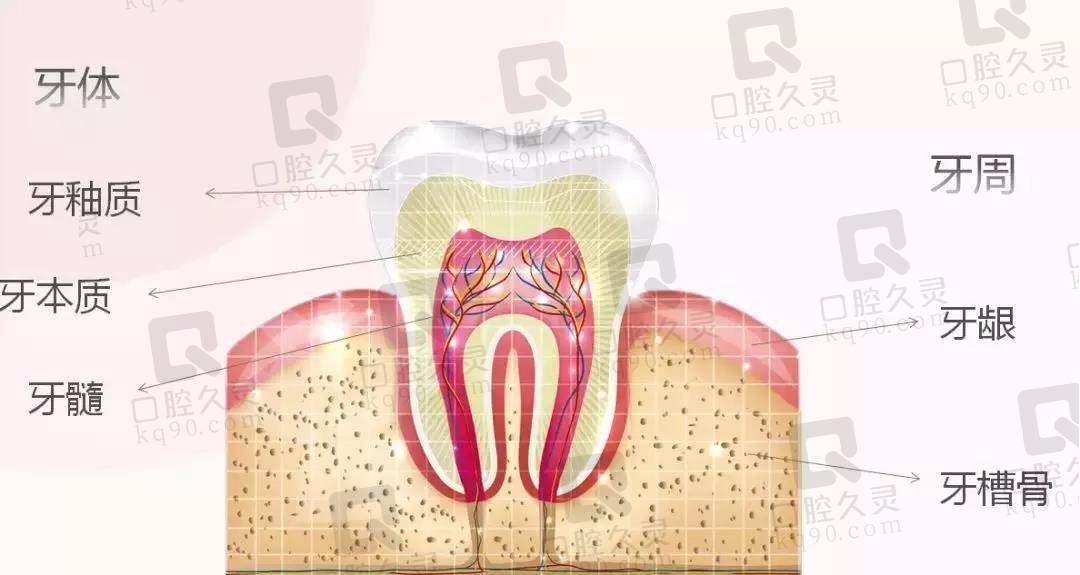 什么是牙髓炎？牙髓炎可以自愈吗？