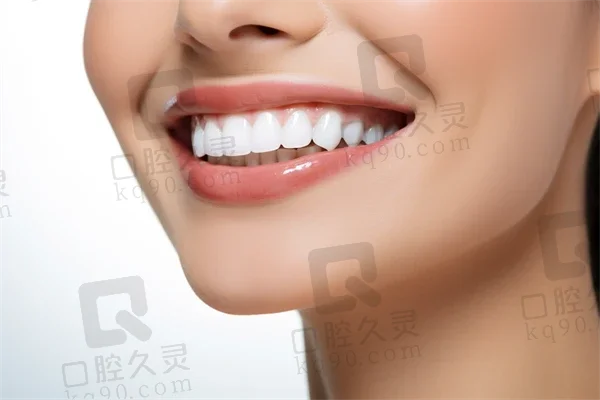 丰富的服务项目介绍