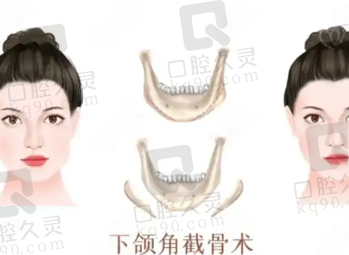 张磊医生资质信息