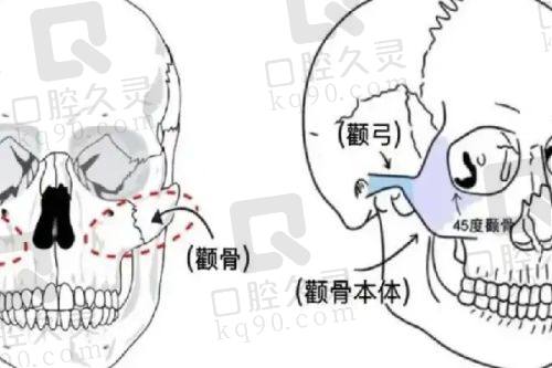 张磊医生预约方式