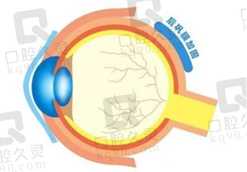 温州眼视光眼科医院预约挂号取消规则是怎样的？