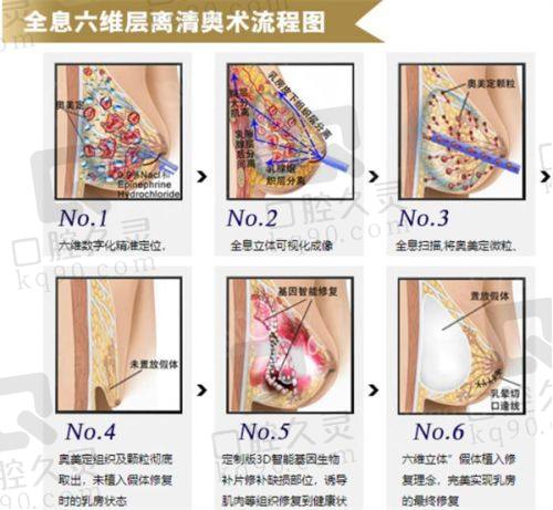 大连爱德丽格刘院长有哪些学术成就？