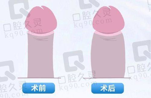 九、邯郸市第五医院整形外科