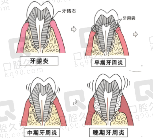 金华靓齿口腔的医院资质情况
