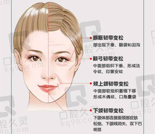 医生团队对比